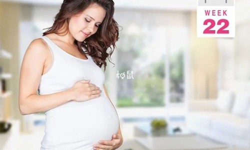 瞎蠓学名叫什么-【瞎碰的功效与作用】瞎蠓学名叫什么 - 瞎碰的营养与功效网